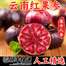 京愿 云南红果参蜘蛛果算盘果 应季新鲜稀有水果生鲜 单果22-24mm 4盒大果 净重1斤