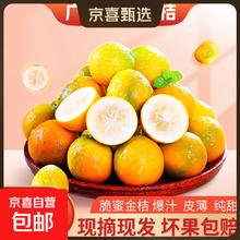 颗颗独立包装 脆蜜金柑 广西融安 脆蜜金桔鲜果 6号小果 裸果 5斤装