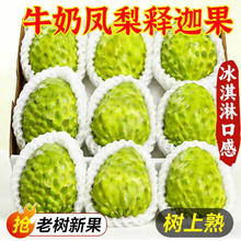再降价：京愿 云南牛奶释迦果 精品果3斤装 单果130g+ 净重2.5斤