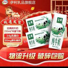 金典 3.6g乳蛋白 纯牛奶250ml*16盒两箱