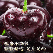 梓颐 智利车厘子4J级5kg进口樱桃桑提娜水果礼盒 5斤(净重) 礼箱装3J 巨无霸 30-32mm