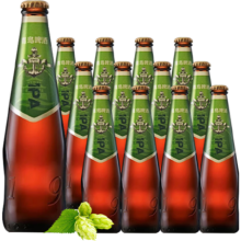 TSINGTAO 青岛 IPA印度淡色艾尔啤酒 330ml 12瓶