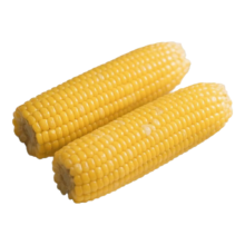 东东农场专供新鲜黄糯玉米180g-220g 5根装