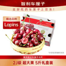 再降价：京鲜生 智利Lapins车厘子 2J级5斤礼盒装*2件 果径约28-30mm 年货水果礼盒