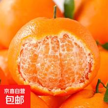 正宗高山丑橘 不知火丑橘 丑八怪水果橘子 带箱9斤