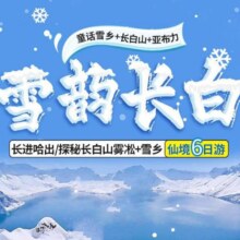 美团 长白山+哈尔滨+亚布力+雪乡6天5晚 单人行程 壹