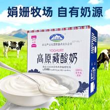 青海湖 青藏牧场 青海省 藏酸奶 210g*10盒