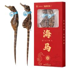 福東海 福东海优质海马干一盒（两只雌雄配对）