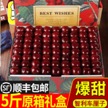 樱桃小口 智利车厘子 J级果王 4斤净重 5斤整箱