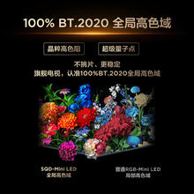 TCL 电视 85Q10M 85英寸 SQD-Mini LED 100%全局高色域