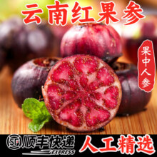 京愿 云南红果参蜘蛛果算盘果 应季新鲜稀有水果生鲜 单果22-24mm 4盒大果 净重1斤