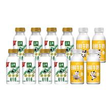 伊利 金典鲜牛奶235ml*8瓶＋高钙小黄瓶235ml*4瓶