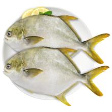 环球水产 冷冻金鲳鱼 1kg/2条装 生鲜 鱼类 深海鱼 海鲜水产