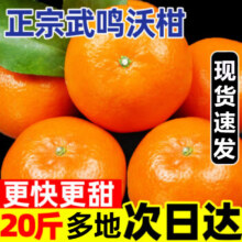 年货节:梦宛怡 广西武鸣沃柑 新鲜孕妇水果橘子柑橘 当季整箱礼盒装 净重5斤 单果60-65mm