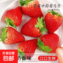 甘甜源 天仙醉奶油草莓 中小果 单果8-15克 净重半斤 尝鲜装