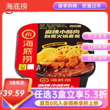 海底捞 自热火锅 麻辣小酥肉 275g*1盒