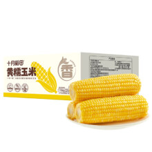 十月稻田 黄糯玉米棒 2箱装 东北种植 新鲜低脂拉丝早餐 8支/箱