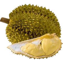 京鲜生 泰国金枕头榴莲 1.75-2.25kg 1个装 新鲜水果 金枕头榴莲 3.5斤-4.5斤