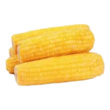 新鲜黄糯玉米真空包装速食玉米 2棒 180g-220g/棒 低脂粗粮代餐杂粮早餐