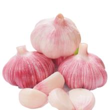 山东紫白皮大蒜 5头净重100g 单果3.5-5cm