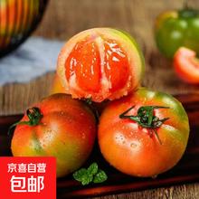 盘锦铁皮草莓柿子 碱地柿子 山野 带箱约5斤 净果4.5斤