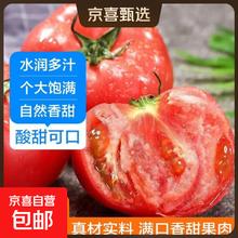 新鲜沙瓤大番茄生吃西红柿3斤减肥早餐即食新鲜蔬菜生鲜单果＞100g 畅享装 3斤 净重