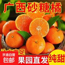 正宗广西桂林砂糖橘 薄皮少籽多汁 砂糖桔 带箱5斤