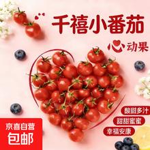 正宗千禧 清晨现摘千禧樱桃番茄 1斤