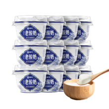 蒙牛 老酸奶 杯装 低温纯牛奶 140g 12杯