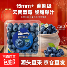 云南蓝莓新鲜蓝莓时令当季特大果花香新鲜水果辅食水果当应季整箱 品质中果【单果15mm+】 2盒精选装【100g/盒】