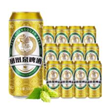 青岛啤酒 凤凰泉啤酒 500ml*12罐