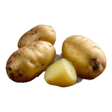 山东土豆 黄皮黄心1斤