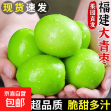 福建牛奶大青枣 现摘新鲜 甜脆鲜枣子 带箱5斤 单果50g起