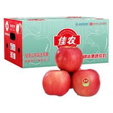 限移动端、京东百亿补贴：佳农 烟台红富士苹果 5kg 单果240g起