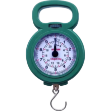高精度手提称10kg 1件