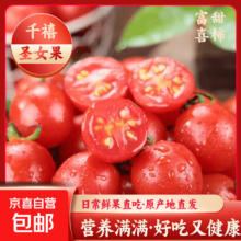 广西圣女果千禧小番茄 孕妇水果 应季 带箱5斤净重4.5斤单果6g+