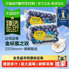 怡颗莓 臻选Driscoll's怡颗莓蜜之玫蓝莓云南超大果蓝莓低GI脆甜多汁22mm+ 220g/1盒