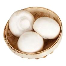 需拼购：精品口蘑 净重500g