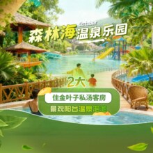 美团 广州森林海温泉乐园+金叶子私汤泡池房1晚+2人畅玩含早