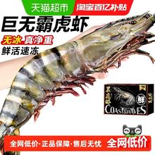 88VIP会员：天猫超市 无品牌 越南 黑虎虾 800g 14-35cm 2-10只/千克