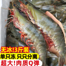 东上御品 虾类 青岛大虾 基围虾 活虾速冻 17-21cm 特大虾皇 3斤净重