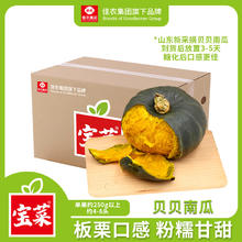 限移动端、京东百亿补贴：佳农 京鲜生 Mr.Seafood宝菜山东贝贝南瓜净重4.5斤4-6头单果400g以上香甜爆粉源头直发
