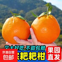 正宗春见耙耙柑 5斤带箱 单果140g+ JDL京东快递