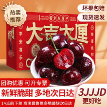 鲁禧海岸 车厘子 水果 智利车厘子4J级多规格大樱桃 水果礼盒 圣诞节礼 4斤(净重) 丨5斤家庭装丨宴请宾客 大果 J 26-28mm丨尝鲜