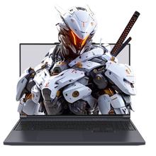 机械革命 极光X 酷睿i7HX 游戏本笔记本电脑(i7-13700HX 16G 1T RTX5060 2.5K屏 180Hz 灰)