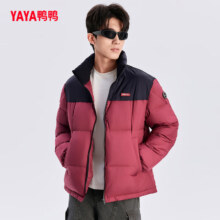 鸭鸭 男女同款 冬季立领羽绒外套 短款保暖面包服