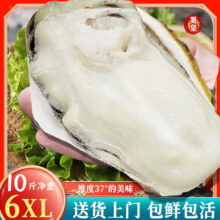 再降价：蜀皇 乳山生蚝鲜活蚝王 10斤净重 10-18只 *4件