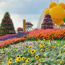 上海奇迹花园 花展票 不限人群票