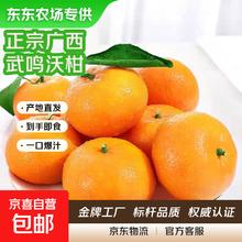 限时1小时！正宗广西武鸣沃柑 带箱4斤装 单果55mm+