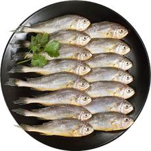 海名威 小黄鱼 16-20条 500g